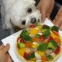 강아지케이크만들기 애견수제간식 쉽게 만드는 야채고구마타르트