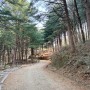 [248] 횡성 청태산 (청태산 자연휴양림 왕복 코스)