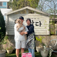 [평택, 송탄, 오산 동물보호소] 말티푸 강아지 루루가 새가족의 품으로 입양되었어요!