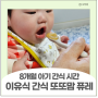 아기 간식 시간 아기 이유식 간식 - 과일 퓨레 중기이유식 시간표 공유