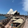 호주 시드니여행 세인트메리성당 오페라하우스 달링하버