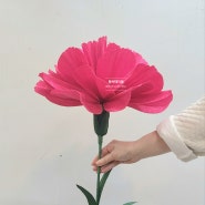 자이언트플라워 원데이클래스 카네이션 해바라기 주름지꽃