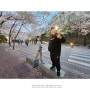 인천대공원 벚꽃 나들이