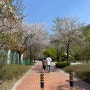주말나들이 소요산벚꽃축제, 동두천 자유수호평화박물관,양키시장