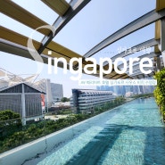싱가포르 JW메리어트호텔 사우스비치 수영장 "EBB6, FLOW18"