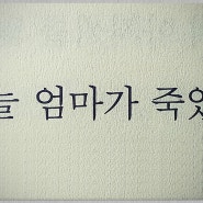 [번역 비교] 이방인 - 알베르 카뮈, 김화영(민음사) vs. 이정서(새움출판사)