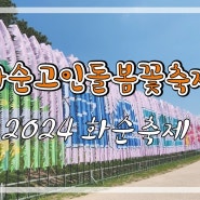 화순고인돌봄꽃축제 ) 2024 화순 봄축제 아유 레디?
