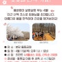 벚꽃 눈이 내리는 '분당 율동공원 산책'