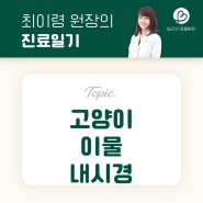 고양이 위내 이물 내시경으로 제거하기(feat. 츄르) - 성남 분당 고양이 전문 병원