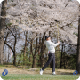벚꽃 라운딩 사우스스프링스cc 골프모임 - 그린 스피드 3.0 나와요