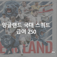 FC온라인 잉글랜드 스쿼드 급여 250 포메이션 4141 개인전술 선수리뷰