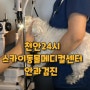 강아지 안과 검진 천안 24시스카이동물메디컬센터 전문병원