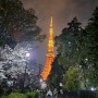 [도쿄] 시바공원에서 본 봄의 도쿄타워 야경