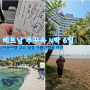 베트남 푸꾸옥여행 4박 6일 | 동남아 휴양지 자유여행 코스 일정 가볼만한곳 추천