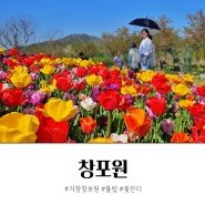 거창 창포원 튤립 꽃잔디 4월 꽃구경