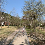 포항 아이와 가볼만한 곳 도음산 산림문화수련장 숲놀이터 전망대 피크닉명소