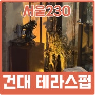 테라스 안주맛집은 건대분위기술집 서울230