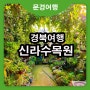 경북여행 가볼만한곳 예천 신라식물원