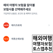 해외여행 여행자보험 토스에서 간편하게 들기