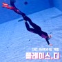 대전 프리다이빙 체험 플레이스디 내돈내산 후기