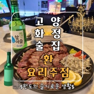 경기도 덕양구 화정역술집 환 요리주점 소고기타다끼에 혼술 후기