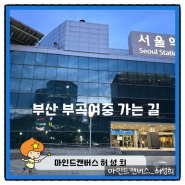 중학생, 숏폼으로 세상을 말하다_부곡 여자중학교의 디지털 시민성 교육