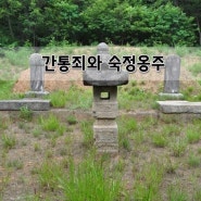 ■ 간통죄와 숙정옹주