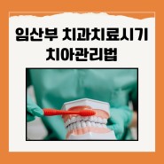 임산부 치과치료시기/ 치아관리법과 스케일링 비용