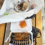 경주 성동시장 맛집 명동김밥 원진찹쌀순대 후기 및 한 번에 찾아가는 길 공유