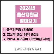 2024년 출산지원금 부모급여 임산부 출산혜택 총정리
