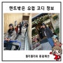 텐트밖은유럽 조보아 선글라스 모자 점퍼 가방 신발 한가인 옷 바지 류혜영 비니 패션