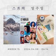 오랜만에 몰입한 컨텐츠가 생겼다는 것 :: WEEK 15