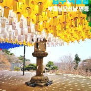 경주 석굴암 입장료 무료 한국 대표 사찰 세계문화유산의 위엄 부처님오신날 연등
