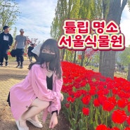 4월 서울 가볼만한곳 서울식물원 튤립 만개 봄꽃 명소 MZ샷