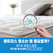 동탄매트리스청소 매트리스클리닝은 왜 중요할까?