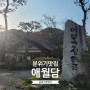 [대전근교가볼만한곳] 애월담 (feat. 무한리필 바베큐 + 이탈리안 메뉴)