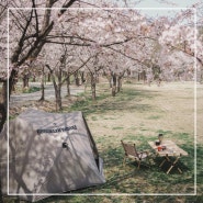 여름 그늘막 쉘터 캠핑 텐트 추천 공원 미니멀 캠핑용 브루클린웍스 게이트웨이 쉐이드
