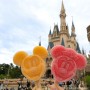 도쿄 디즈니랜드&디즈니씨 티켓 +마이리얼트립 전세계 3천원 할인쿠폰