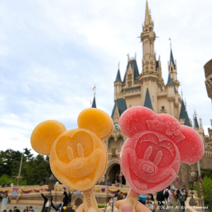 도쿄 디즈니랜드&디즈니씨 티켓 +마이리얼트립 전세계 3천원...