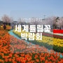 태안 튤립축제 코리아플라워파크 꽃지해수욕장 세계튤립꽃 박람회