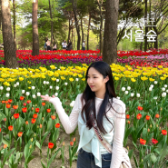 2024 서울숲 튤립축제 위치 주말 주차팁