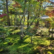[니가타-시바타] 시미즈엔 1. 입구부터 기대를 저버리지 않은 아름다운 일본 정원