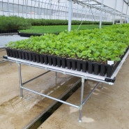 온실하우스용 재배 받침대 설치를 위한 "스마트팜형 조립식 재배받침대" 를 소개합니다.