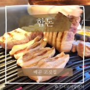 배곧 고깃집 함돈에서 맛보고 온 눈꽃스페셜 쫄깃하고 찰졌던 고깃집