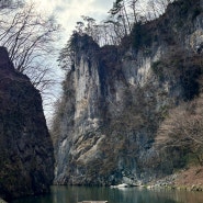[도호쿠] 일본 100경 명승지 이와테현 이치노세키시 게이비케이 계곡 뱃놀이(猊鼻渓)