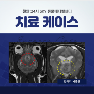천안강아지뇌종양치료 + 천안24시스카이동물메디컬센터