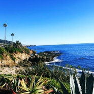 2024 캘리포니아 아름다운 해변 라구나비치 단골비치네 ㅎ
