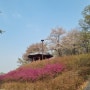 경기도 시흥시 오난산 벚꽃구경