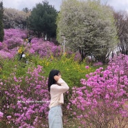 부천 원미산 진달래동산 / 춘덕산 복숭아꽃 꽃축제 다녀오기
