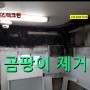 대전 곰팡이제거를 탄방동 아파트